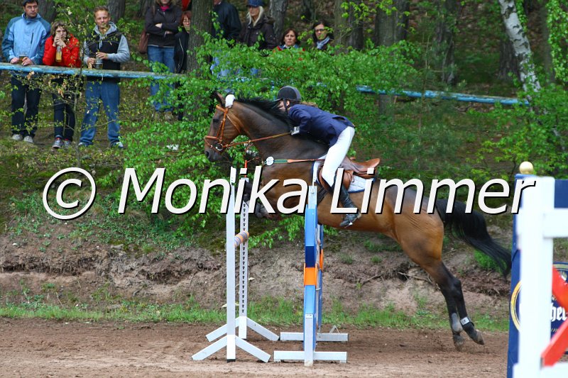 005L5399_Zindi_Spring M mit Stechen.JPG